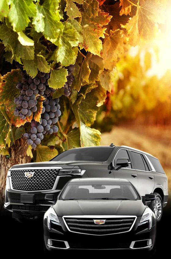 Livermore Wine Tours Transportation